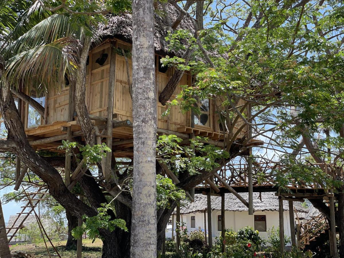 Antonio Beach Tree House Hotel & Spa Uroa Exteriér fotografie