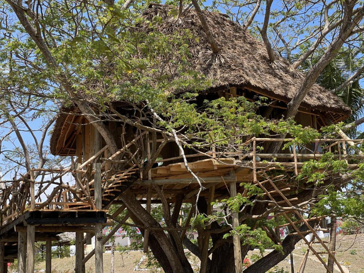 Antonio Beach Tree House Hotel & Spa Uroa Exteriér fotografie