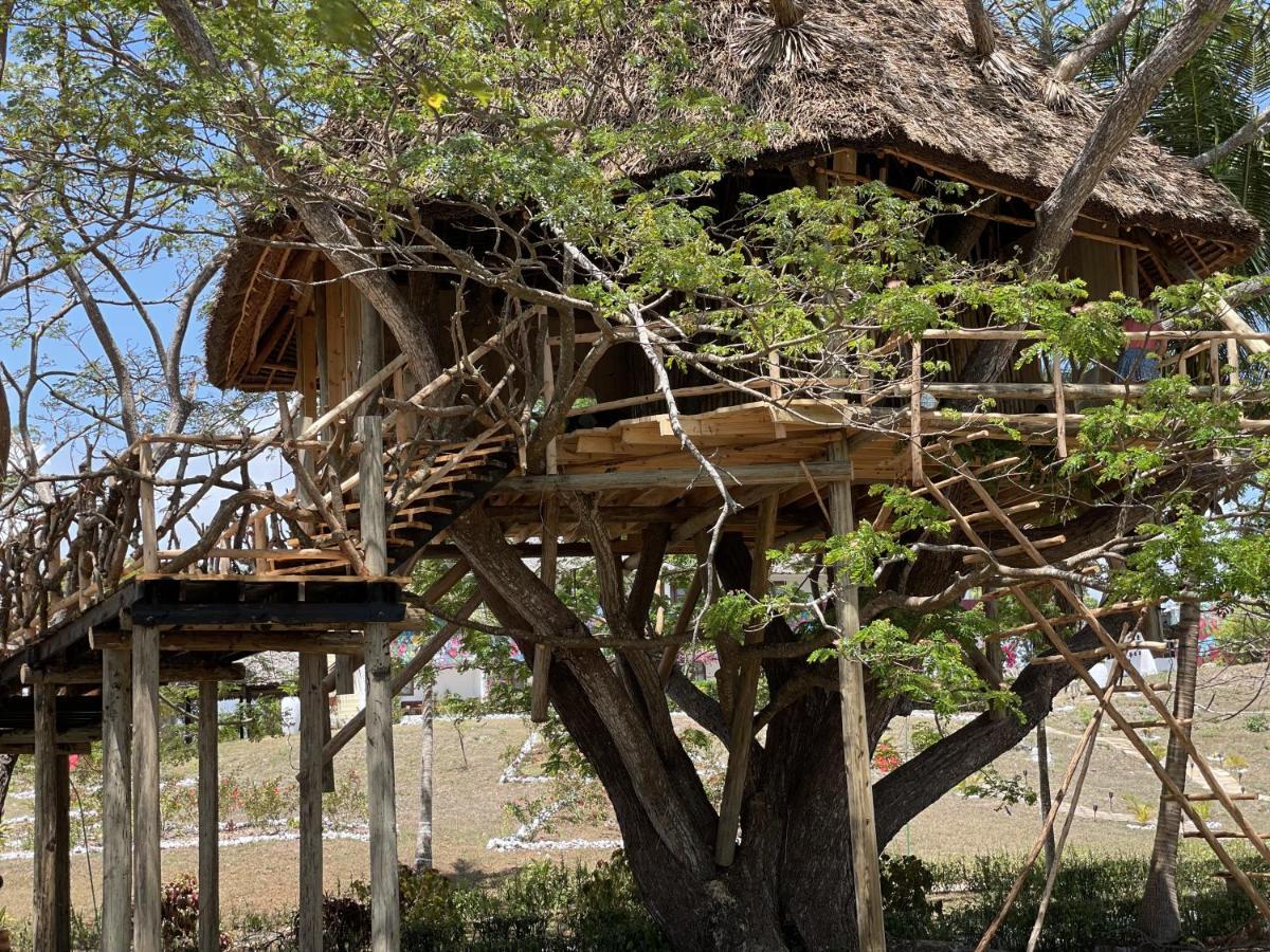 Antonio Beach Tree House Hotel & Spa Uroa Exteriér fotografie