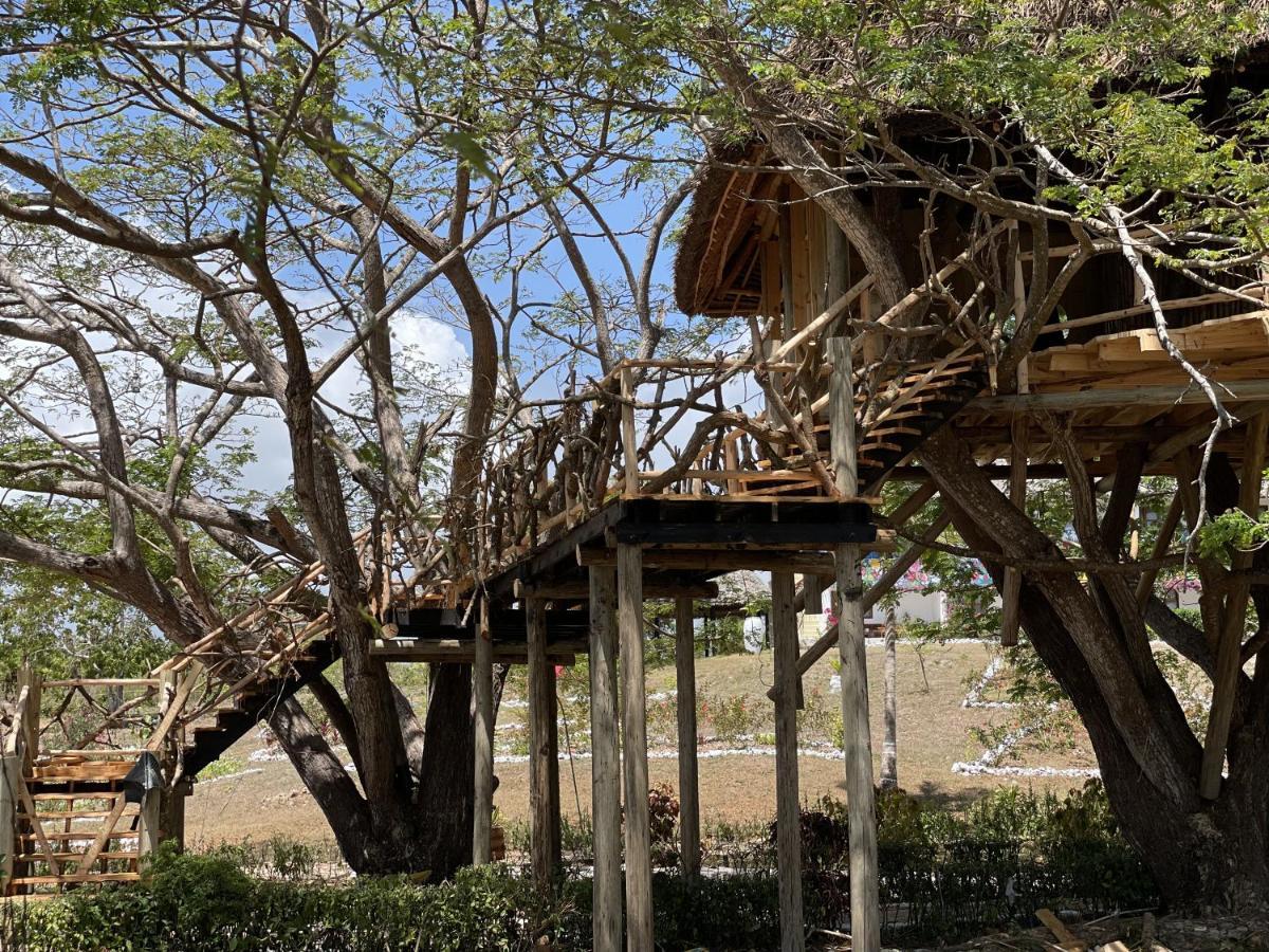 Antonio Beach Tree House Hotel & Spa Uroa Exteriér fotografie